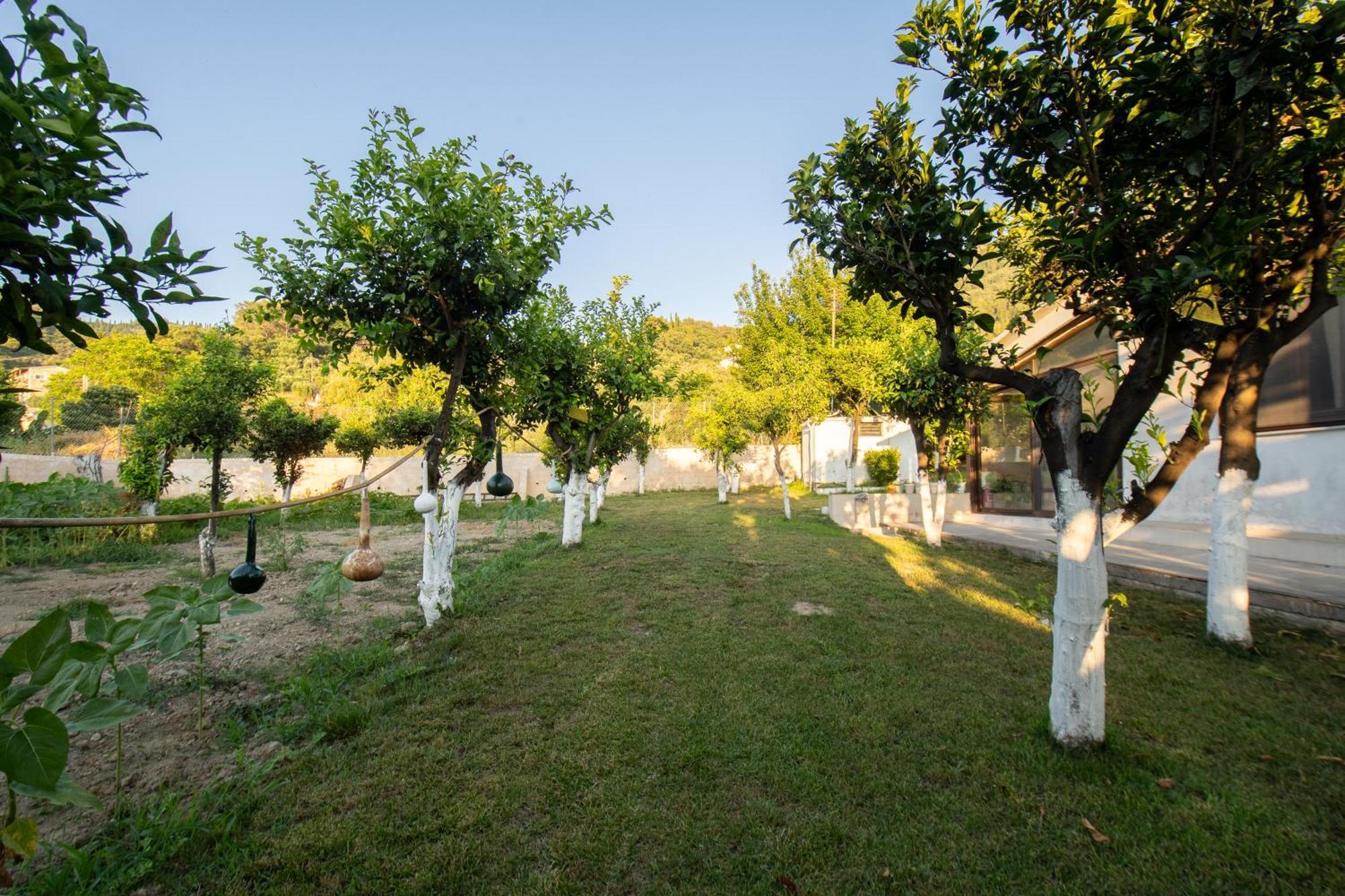 To Ktimataki Villa Agios Gordios  Dış mekan fotoğraf